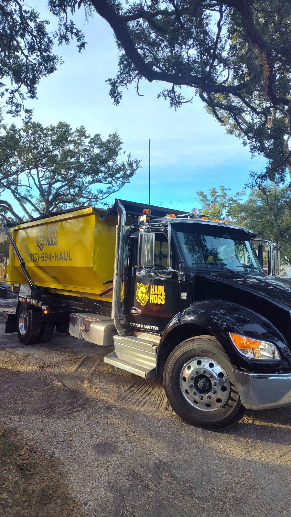 Haul Hogs branded truck delivering a yellow dumpster in Tampa